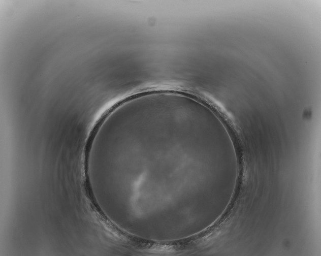 X0000090771174200707271521