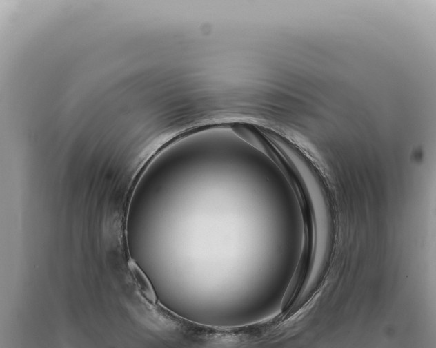 X0000090771177200707271521