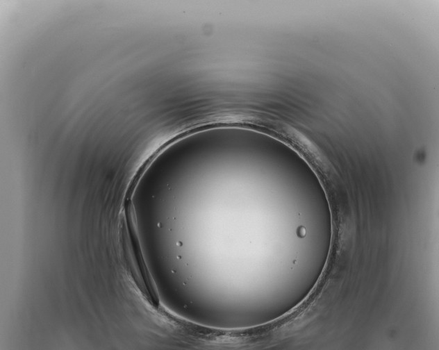X0000090771178200707271521