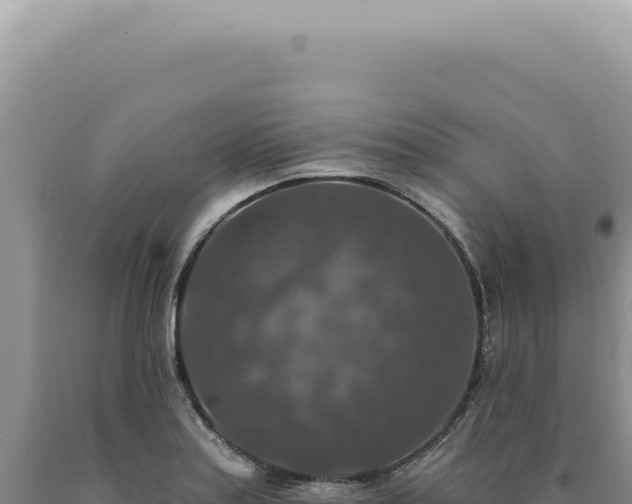 X0000090771179200707271521