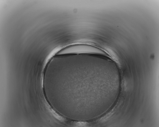 X0000090771180200707271521