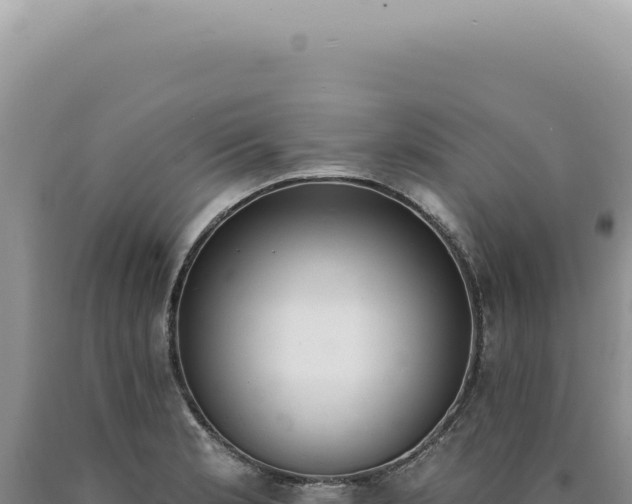X0000090771181200707271521