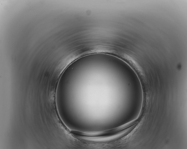 X0000090771185200707271521
