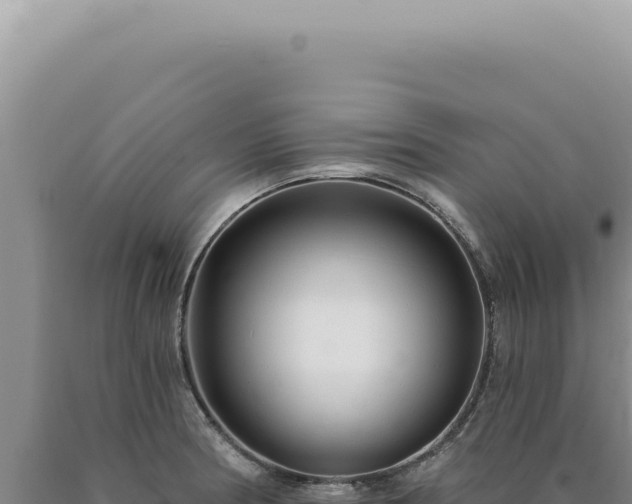 X0000090771186200707271521