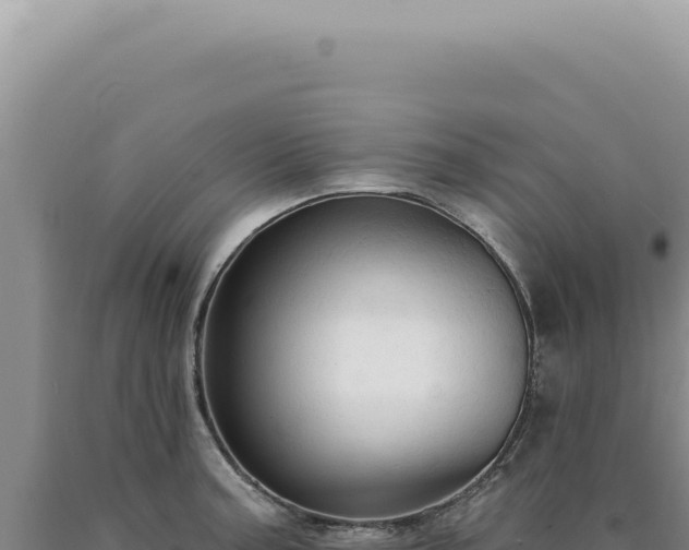 X0000090771187200707271521
