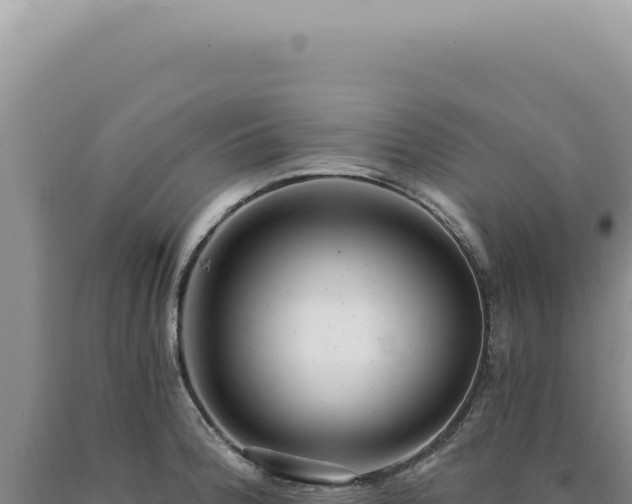 X0000090771188200707271521