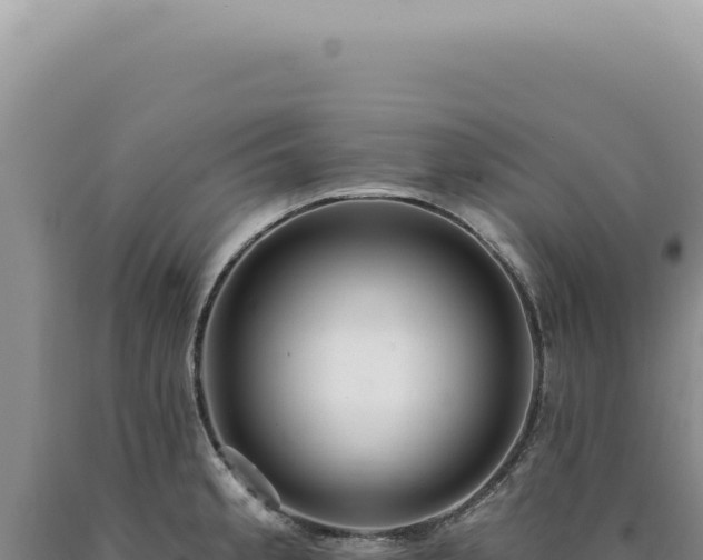 X0000090771189200707271521