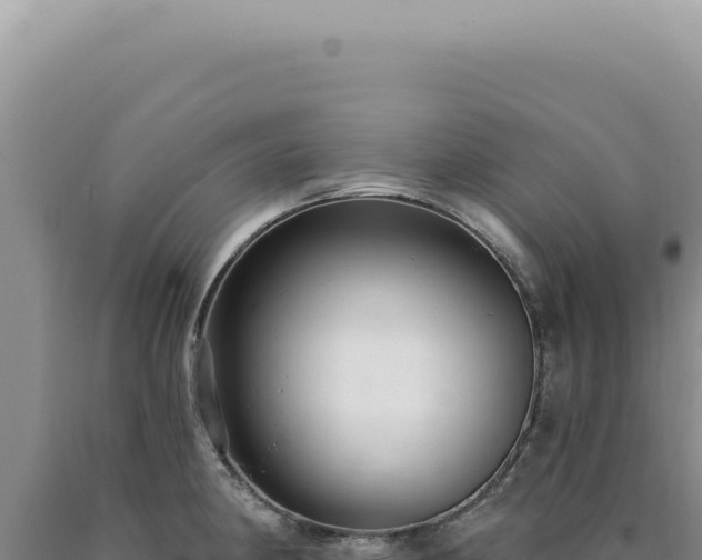X0000090771190200707271521