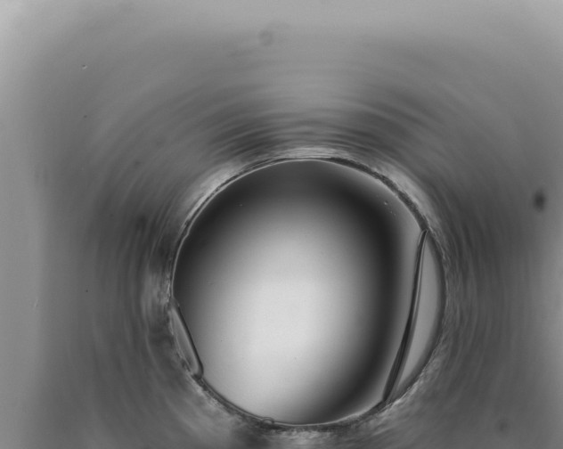 X0000090771193200707271521