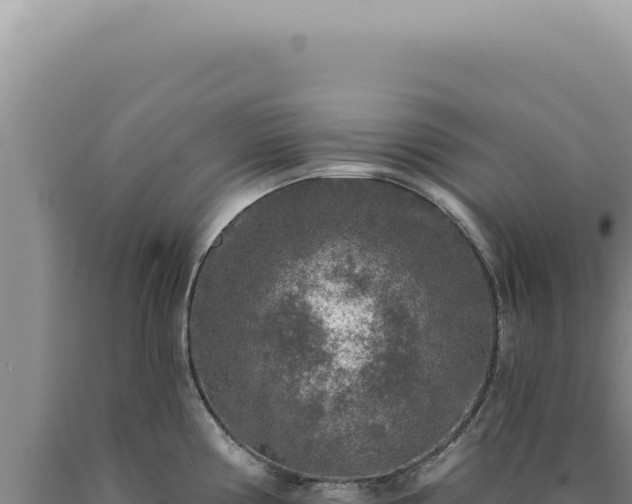 X0000090771194200707271521