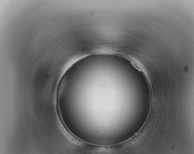 X0000090771195200707271521