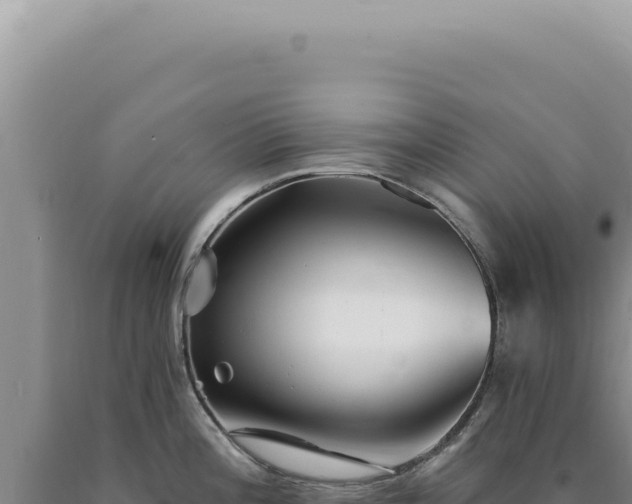 X0000090771196200707271521