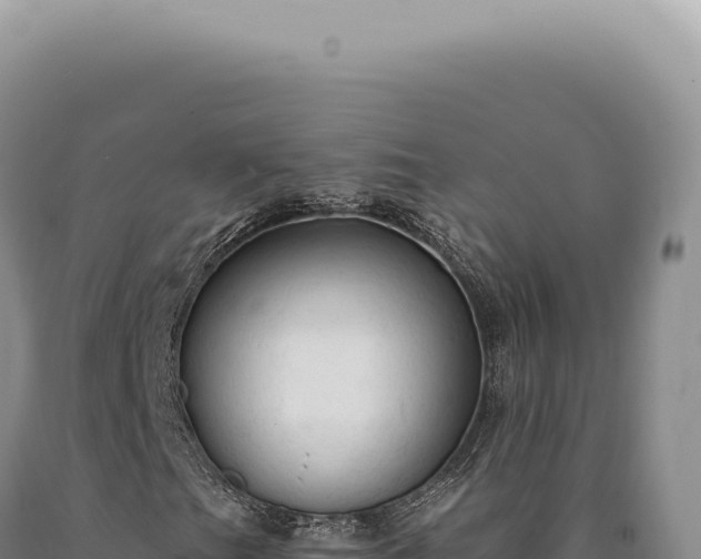 X0000090771201200707271520