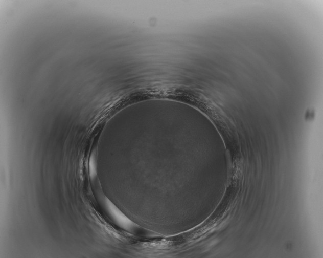 X0000090771202200707271520