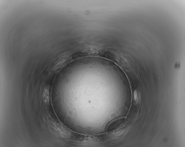 X0000090771203200707271520