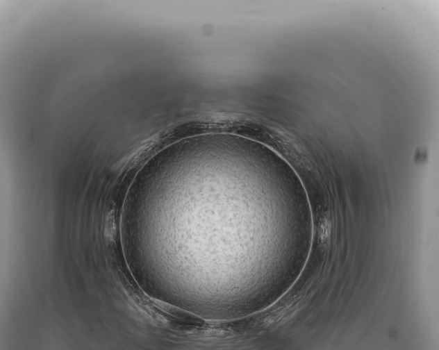X0000090771204200707271520