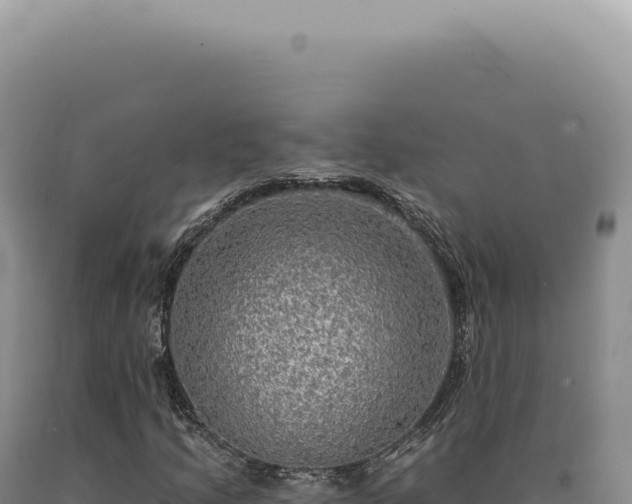 X0000090771205200707271520