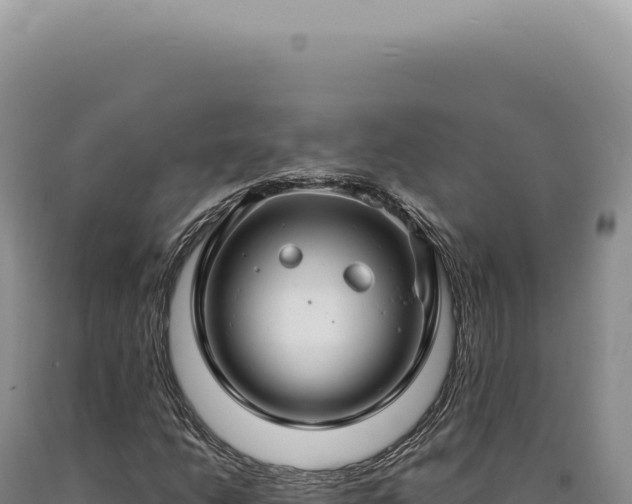 X0000090771206200707271520
