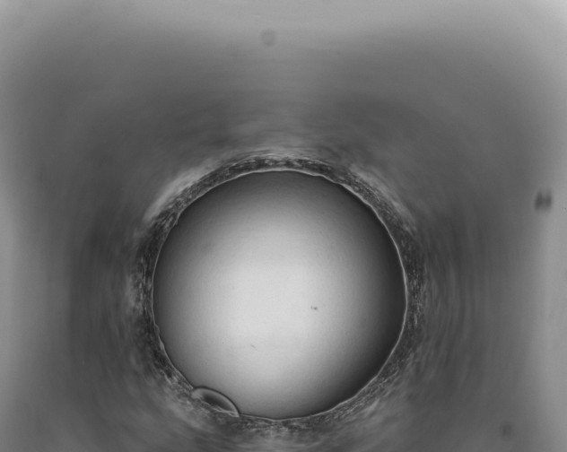 X0000090771207200707271520