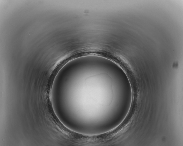 X0000090771210200707271520