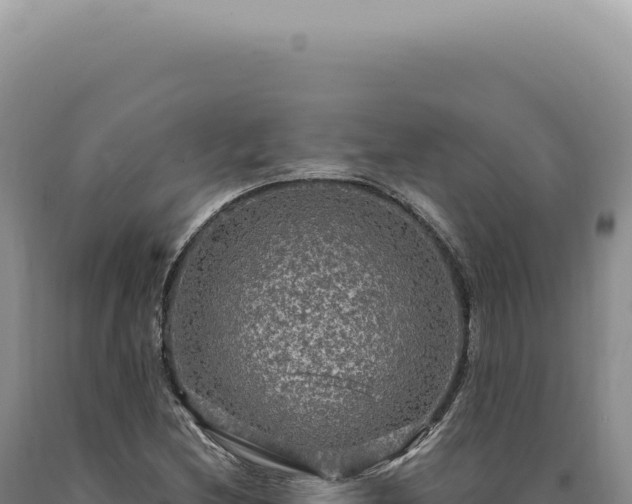 X0000090771212200707271520