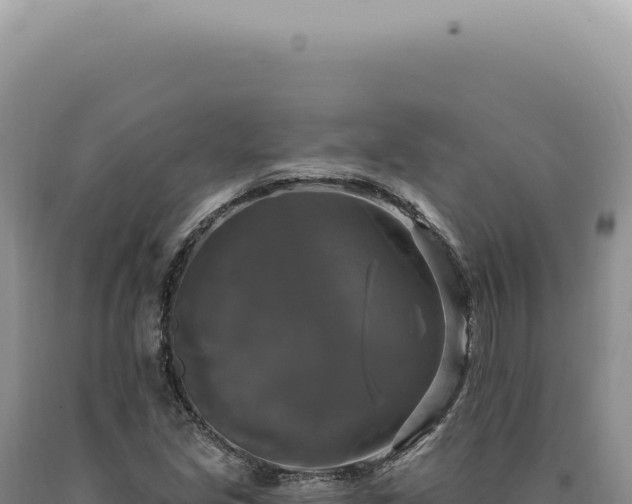 X0000090771213200707271520
