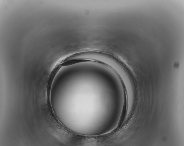 X0000090771214200707271520