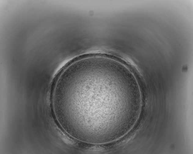 X0000090771216200707271520
