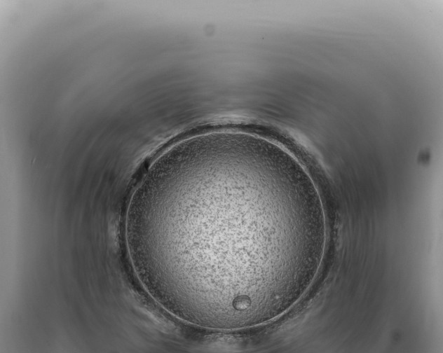 X0000090771217200707271520