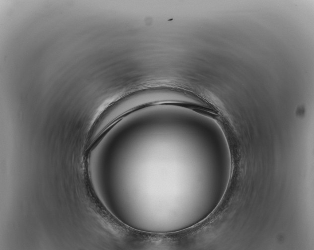 X0000090771218200707271520
