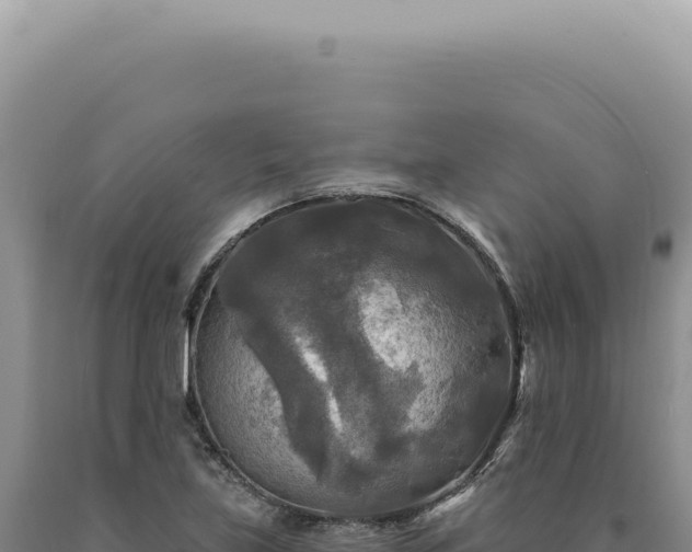 X0000090771219200707271520
