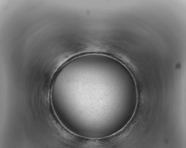 X0000090771220200707271520