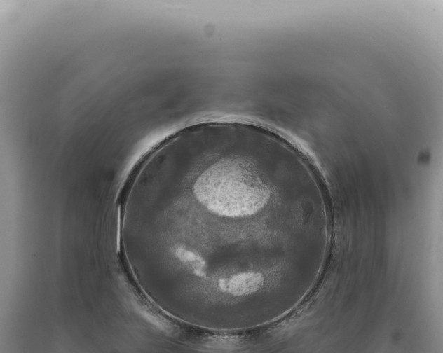 X0000090771223200707271520