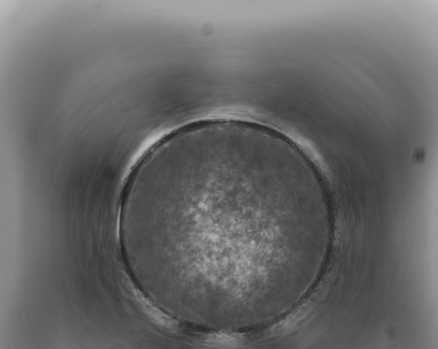 X0000090771224200707271520