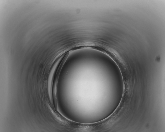 X0000090771225200707271520