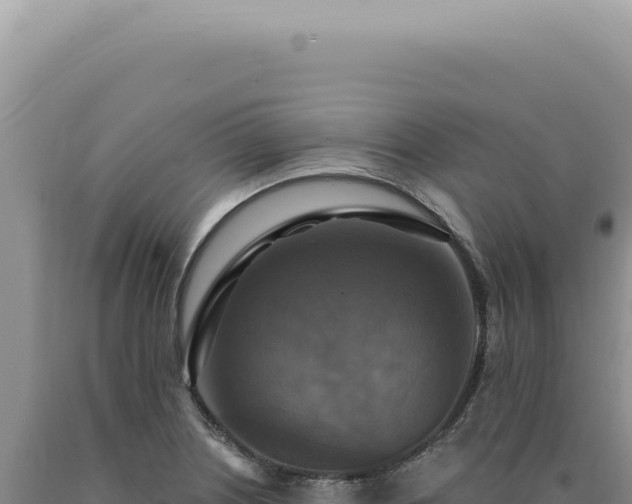 X0000090771226200707271520