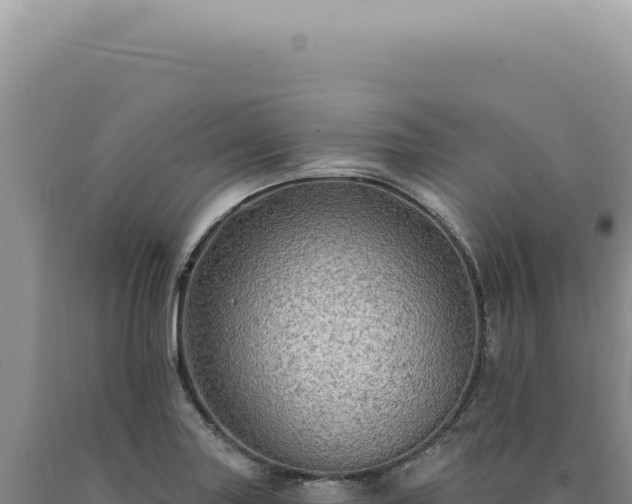 X0000090771227200707271520