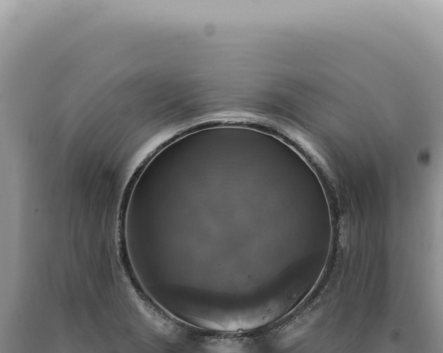 X0000090771229200707271520
