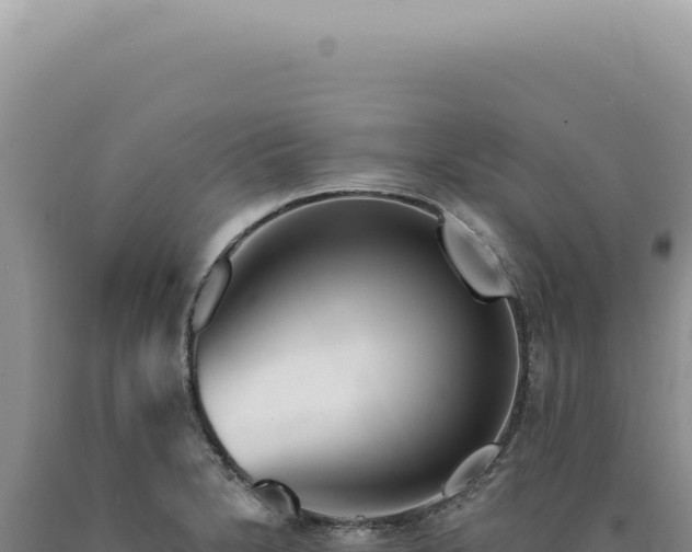 X0000090771230200707271520