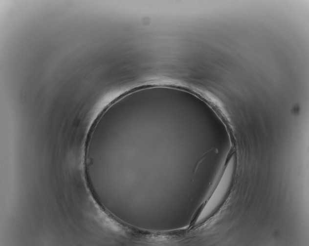 X0000090771231200707271520