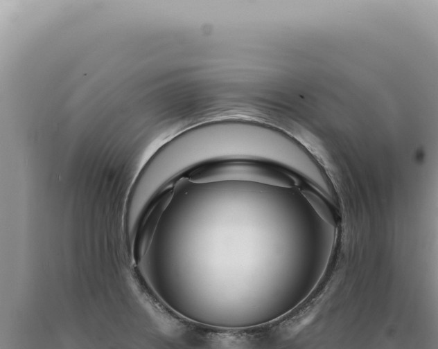 X0000090771234200707271520