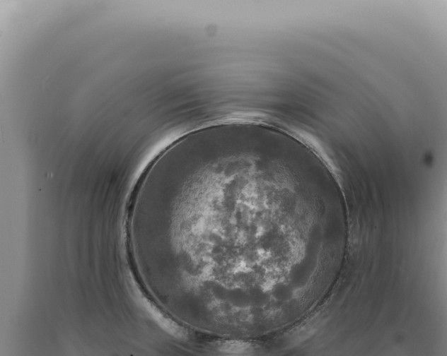 X0000090771235200707271520