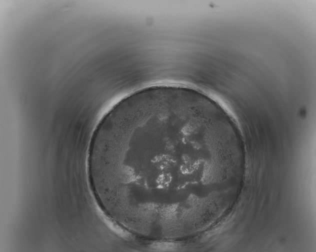 X0000090771237200707271520