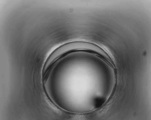 X0000090771238200707271520