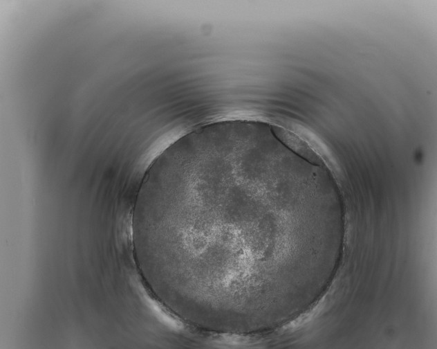 X0000090771241200707271520
