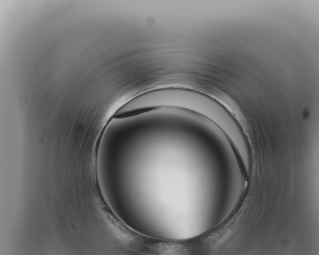 X0000090771242200707271520