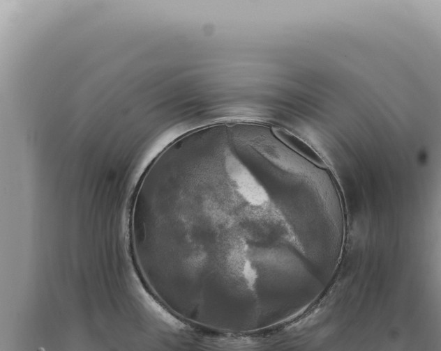 X0000090771243200707271520