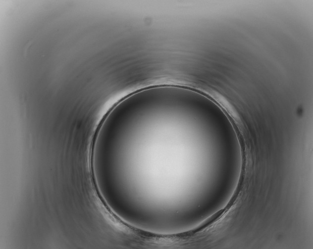 X0000090771246200707271521