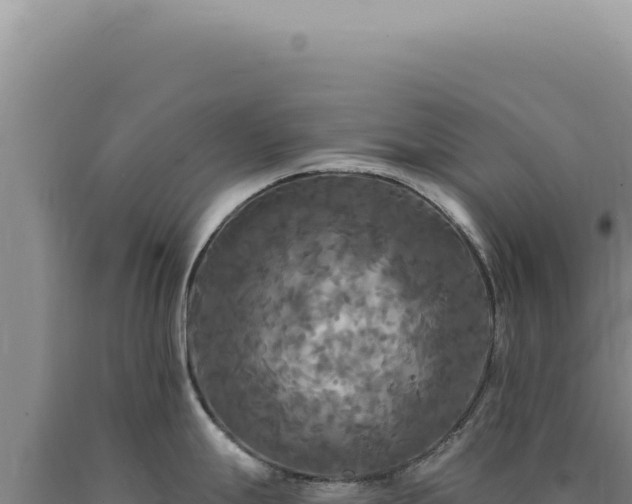 X0000090771247200707271521