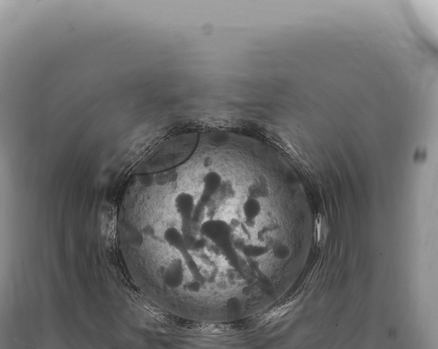 X0000090771251200707271520